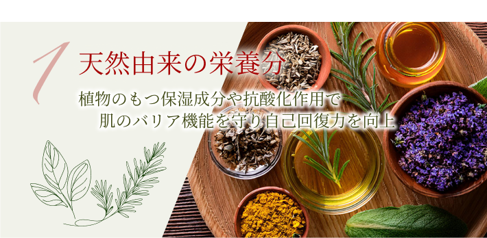 1.天然由来の米発酵成分 古くから日本人に親しまれてきた米発酵エキスを配合。肌の潤いを保ち、健やかなツヤを引き出します